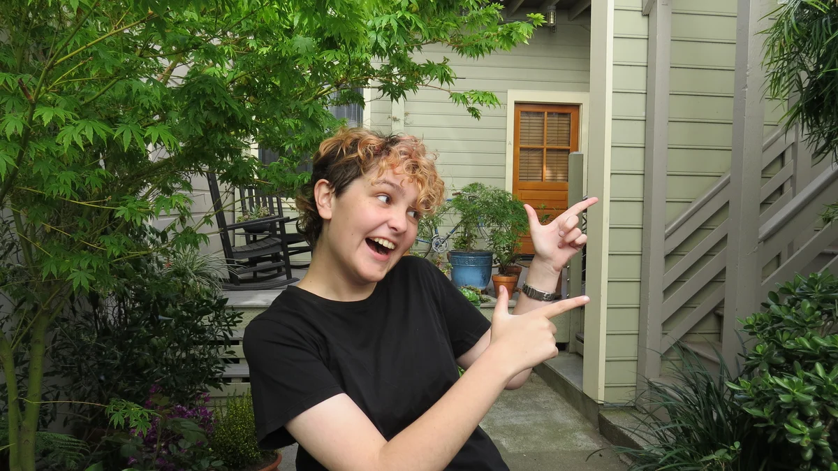 Press kit photo – finger guns